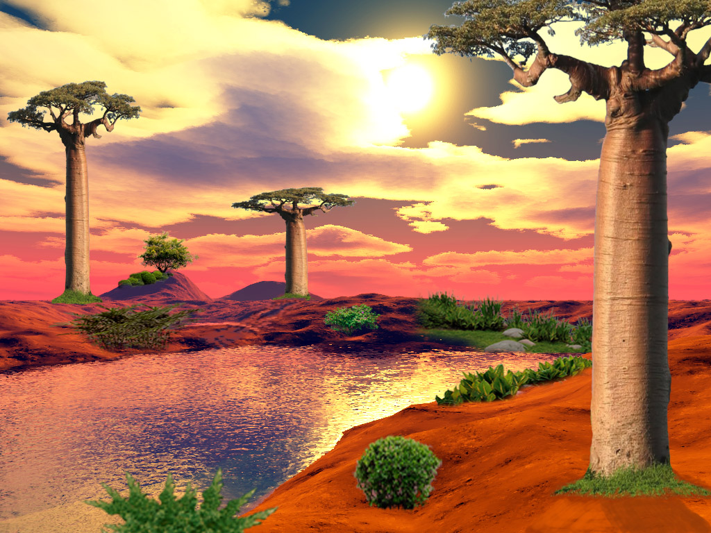 Baobab v prírode